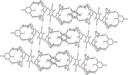   Crystal packing of the 2D network obtained starting from a bis-pyridil-calix derivative and 1,4-diiodotetrafluorobenzene. Colours are as follows: black, carbon; sky blue, nitrogen; red, oxygen; purple, iodine; green, fluorine. Dotted lines represent the intramolecular hydrogen bonds; dashed lines represent the intermolecular NI halogen bonds.