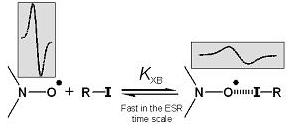 Line broadening in the ESR spectrum of DPNO after the addition of n-C8F17I. 