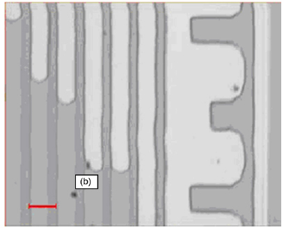 Microfluidic behaviour of FOMBLIN Z-DOL