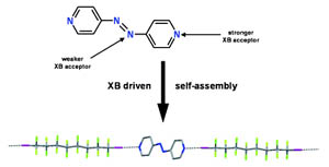 Self-assembly of α,ω-diiodoperfluoroalkanes with trans-4,4-azobipyridine 