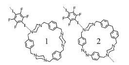 The molecular structures of Cyclophane 1, 2 and F4DIB.