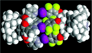 Fig. 2 Space filling representation of the closed dimeric capsule 2(E)B(A) (see ESI? for numbering scheme) held together by four IN XBs between one cavitand 2 and one calix B. Colour code: Grey, carbon; white, hydrogen; red, oxygen; blue, nitrogen; yellow, fluorine; violet, iodine.