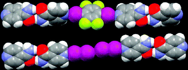 Co-crystals of iodine iso-nicotinamide and tetrafluorodiiodobenzene iso-nicotinamide 